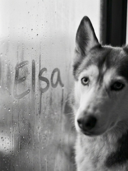 Elsa — Rainy Window 2